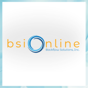 BSI Online Logo